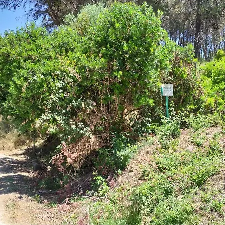 Vivienda Majaceite El Bosque (Cadiz)